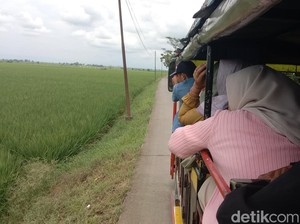Menyusuri Indramayu Naik Odong-odong, Sensasi Liburan yang Berbeda
