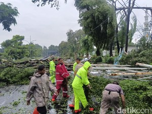 Hujan Angin di Bogor, Sejumlah Pohon Tumbang hingga Tutup Jalan