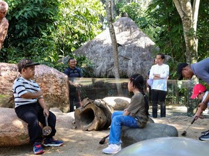 Jokowi Enggan Naik Buggy Car, Pilih Jalan Kaki Keliling Bali Zoo