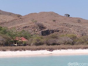 PT PHC dan TN Komodo Tegaskan Tak Larang Turis ke Pantai Utara Pulau Padar