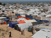 Evakuasi Warga Gaza ke RI Bukan Relokasi, Ini Penjelasan Pemerintah