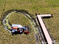 Kebijakan Likuiditas Makroprudensial Penopang Sektor Pangan Indonesia