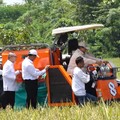 Pergantian Direksi Bulog Bikin Serapan Beras Naik 2000%