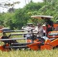Prabowo: Petani Tulang Punggung, Tanpa Pangan Tak Ada Negara
