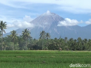 Gunung Semeru Erupsi 2 Kali, Lontarkan Abu 800 Meter