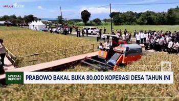Video: Prabowo Bakal Buka 80.000 Koperasi Desa Tahun Ini