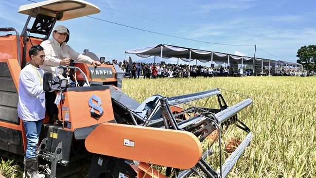 Top! Produksi Padi RI Lagi Moncer, Ternyata Alshintannya Made in Lokal