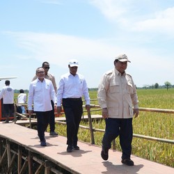 Ditemani Zulhas dan Amran, Prabowo Subianto Panen Raya Padi