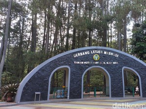 Kunjungan ke Tahura Juanda Bandung Merosot di Libur Lebaran 2025