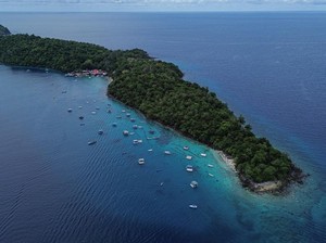 Konservasi Hutan sebagai Perekat Bangsa