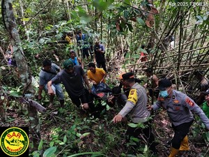 3 Hari Pencarian, Bocah SD di OKU Ditemukan Tewas di Bawah Tumpukan Bambu
