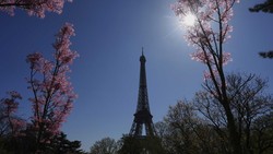 Menara Eiffel Padam, Dunia Berkabung atas Wafatnya Paus Fransiskus