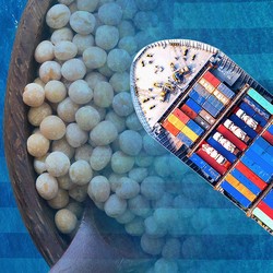 Perang Dagang Makin Panas, RI Terancam Krisis Kedelai