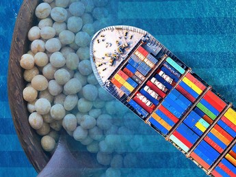 Perang Dagang Makin Panas, RI Terancam Krisis Kedelai