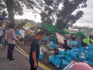 Mobil Boks Angkut Bibit Udang Tabrak Lapak PKL di Lombok Barat, Satu Tewas