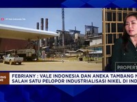 Wow! Produksi Nikel Vale Bakal Naik 4 Kali Lipat di 2027
