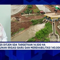 Swasembada Pangan Jadi Prioritas, Infrastruktur Air Wajib Berkualitas