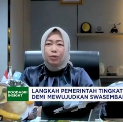 Video: Gak Cuma Beras, Prabowo Kejar Swasembada Pangan Lewat Sorgum Cs