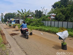 Warga Pasang Pot di Jalur Wisata Baturraden Protes Jalan Rusak Menahun