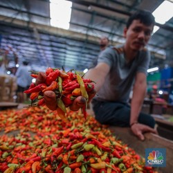 Picu Inflasi Maret 2025, Harga Cabai Hari Ini Turun Rp11.000