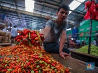Picu Inflasi Maret 2025, Harga Cabai Hari Ini Turun Rp11.000