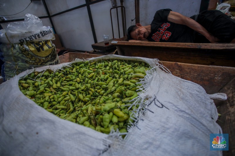 Penjualan cabai rawit di Pasar Induk Kramat Jati, Jakarta, Rabu (9/4/2025). Penjualan cabai rawit di Pasar Induk Kramat Jati, Jakarta, Rabu (9/4/2025). (CNBC Indonesia/Faisal Rahman)