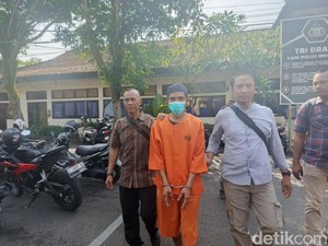 DPO Penyelundup 5 Penyu Hijau Ditangkap, Terancam 5 Tahun Penjara