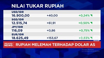 Video: Rupiah Terus Melemah, Sentuh Rp16.900 per Dolar AS