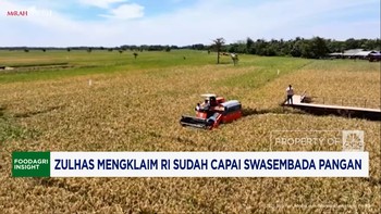 Video: Zulhas Mengklaim RI Sudah Capai Swasembada Pangan