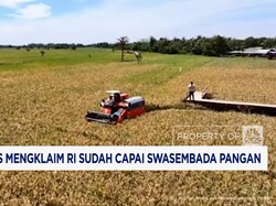 Video: Zulhas Mengklaim RI Sudah Capai Swasembada Pangan
