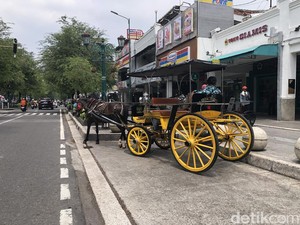 Paguyuban Andong Jogja Angkat Bicara soal Bau Pesing di Malioboro