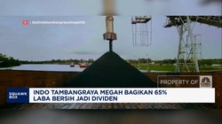 Video: Ini Dia, Rencana Pembagian Dividen Indo Tambangraya Megah