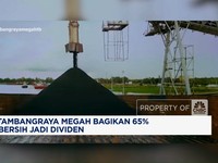 Video: Ini Dia, Rencana Pembagian Dividen Indo Tambangraya Megah