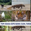 Video: Osaka Expo Bawa Cuan, Target USD 3,42 Miliar