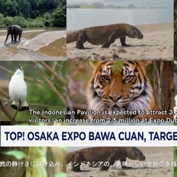 Video: Osaka Expo Bawa Cuan, Target USD 3,42 Miliar