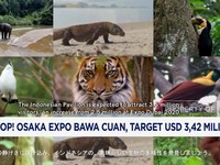 Video: Osaka Expo Bawa Cuan, Target USD 3,42 Miliar
