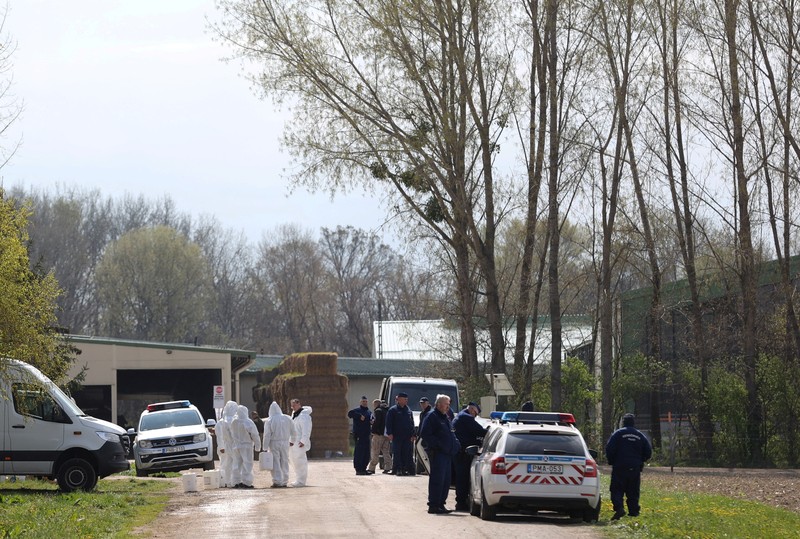 Penyemprotan disinfektan saat wabah penyakit kaki dan mulut merebak di perbatasan Austria-Hongaria, di Nickelsdorf, Austria, 10 April 2025. (REUTERS/Bernadett Szabo) Penyemprotan disinfektan saat wabah penyakit kaki dan mulut merebak di perbatasan Austria-Hongaria, di Nickelsdorf, Austria, 10 April 2025. (REUTERS/Bernadett Szabo)