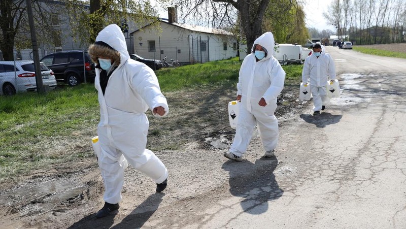 Penyemprotan disinfektan saat wabah penyakit kaki dan mulut merebak di perbatasan Austria-Hongaria, di Nickelsdorf, Austria, 10 April 2025. (REUTERS/Bernadett Szabo)