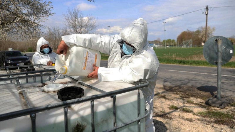Penyemprotan disinfektan saat wabah penyakit kaki dan mulut merebak di perbatasan Austria-Hongaria, di Nickelsdorf, Austria, 10 April 2025. (REUTERS/Bernadett Szabo)