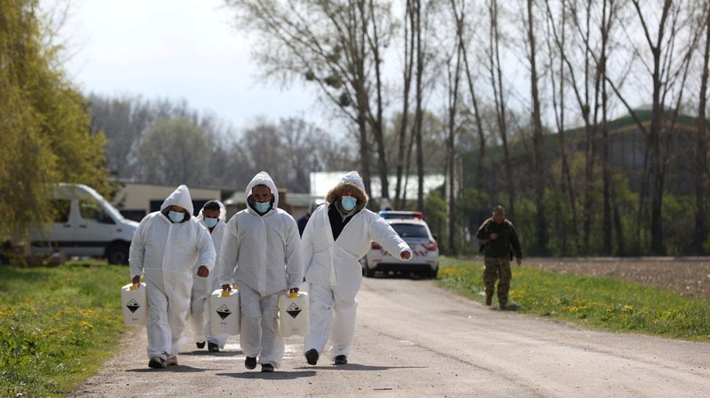 Penyemprotan disinfektan saat wabah penyakit kaki dan mulut merebak di perbatasan Austria-Hongaria, di Nickelsdorf, Austria, 10 April 2025. (REUTERS/Bernadett Szabo)
