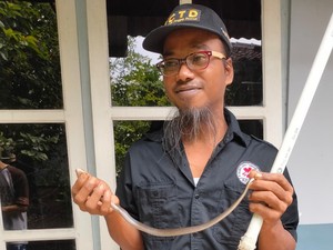 Emak-emak Dihadang Anakan Kobra Saat Hendak Masukkan Motor di Klaten