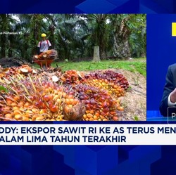 Video: Jurus Pengusaha Sawit Cegah Gangguan Ekspor Saat Perang Tarif