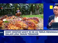 Video: Jurus Pengusaha Sawit Cegah Gangguan Ekspor Saat Perang Tarif