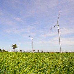 PLTB Tolo Kasih Terobosan dalam Keberlanjutan Energi Terbarukan