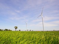 PLTB Tolo Kasih Terobosan dalam Keberlanjutan Energi Terbarukan