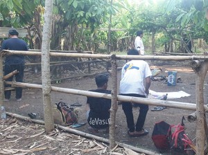 Polisi Gerebek Judi Sabung Ayam di Pinrang, 6 Pelaku Ditangkap