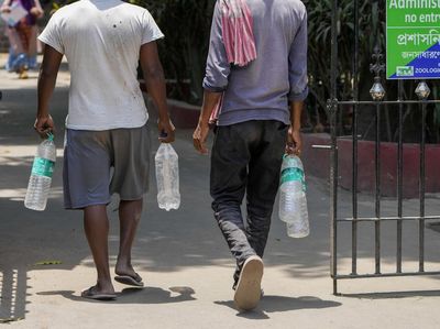 Viral KDM Kaget Air Mineral dari Sumur Bor, Ini Fakta Sebenarnya