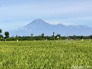 Semeru 2 Kali Erupsi Pagi ini, Luncurkan Abu Vulkanik Hingga 700 Meter