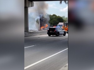 Video: Pesawat Kecil Jatuh dan Terbakar di Florida, Seluruh Penumpang Tewas