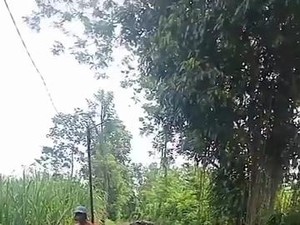 Viral Sampah Menumpuk Tutup Akses Jalan di Kabupaten Malang